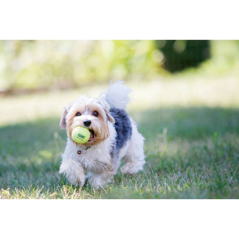 slide 3 of 3, KONG SqueakAir Tennis Ball Dog Toy - S - 4ct, 4 ct