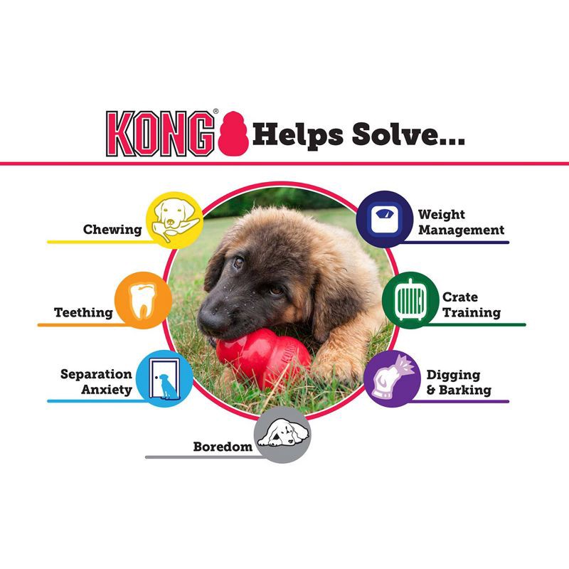 slide 6 of 8, KONG Refillable Classic Chew Dog Toy - L, 1 ct