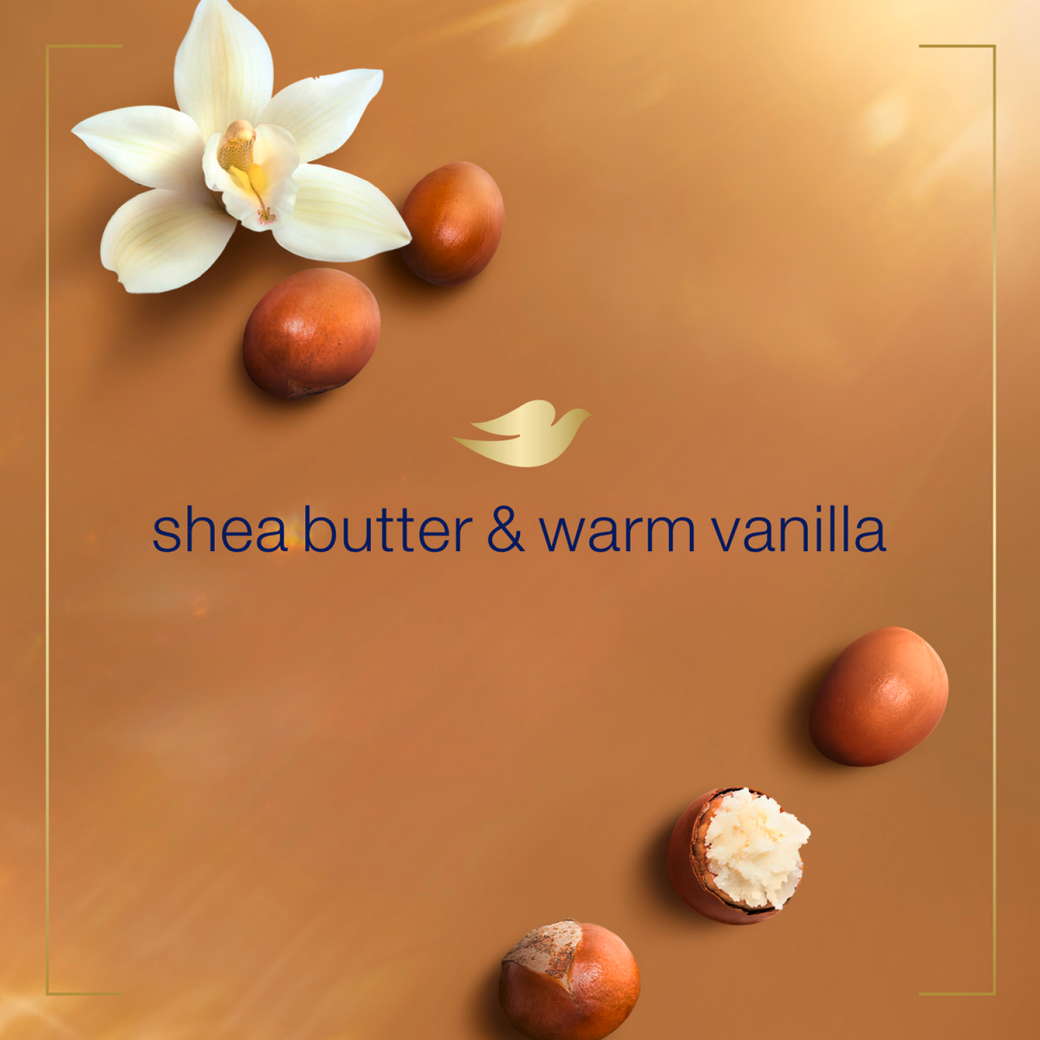 slide 3 of 5, Dove Advanced Care Shea Butter & Warm Vanilla Hand Wash 12 fl oz, 12 fl oz
