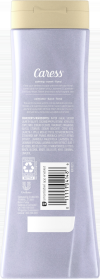 slide 2 of 5, Caress Body Wash, 20 fl oz