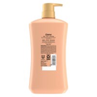 slide 3 of 5, Caress Body Wash with Pump Daily Silk, 30 oz