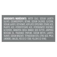 slide 15 of 21, Dove Men+Care Body Wash - Mango & Cedarwood, 30 oz