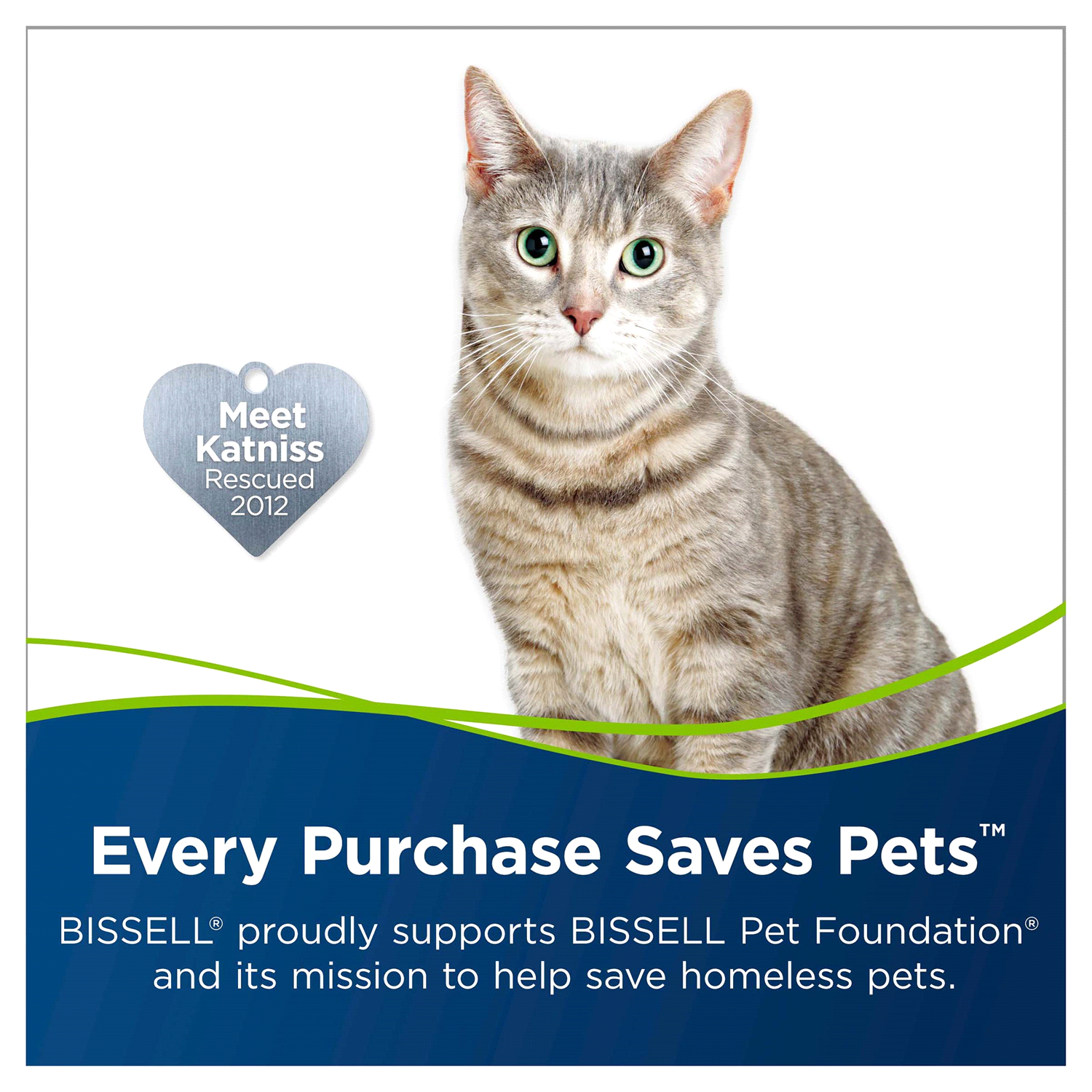 slide 4 of 5, Bissell Pet Spot & Stain 32 fl oz, 32 oz