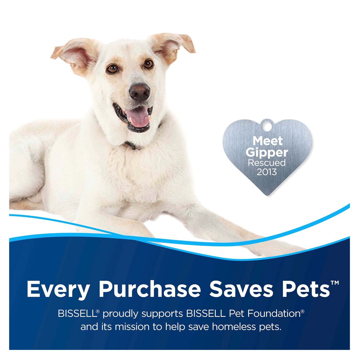 slide 2 of 5, BISSELL 48oz Professional Cleaning Formula with Febreze, 48 oz