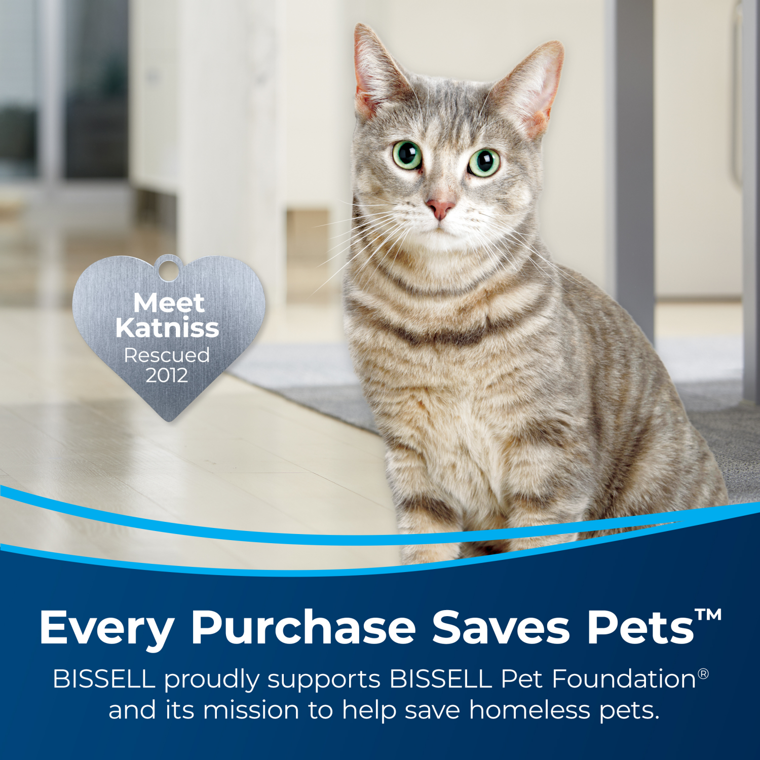 slide 3 of 4, BISSELL Oxy Stain Destroyer Pet, 14 oz