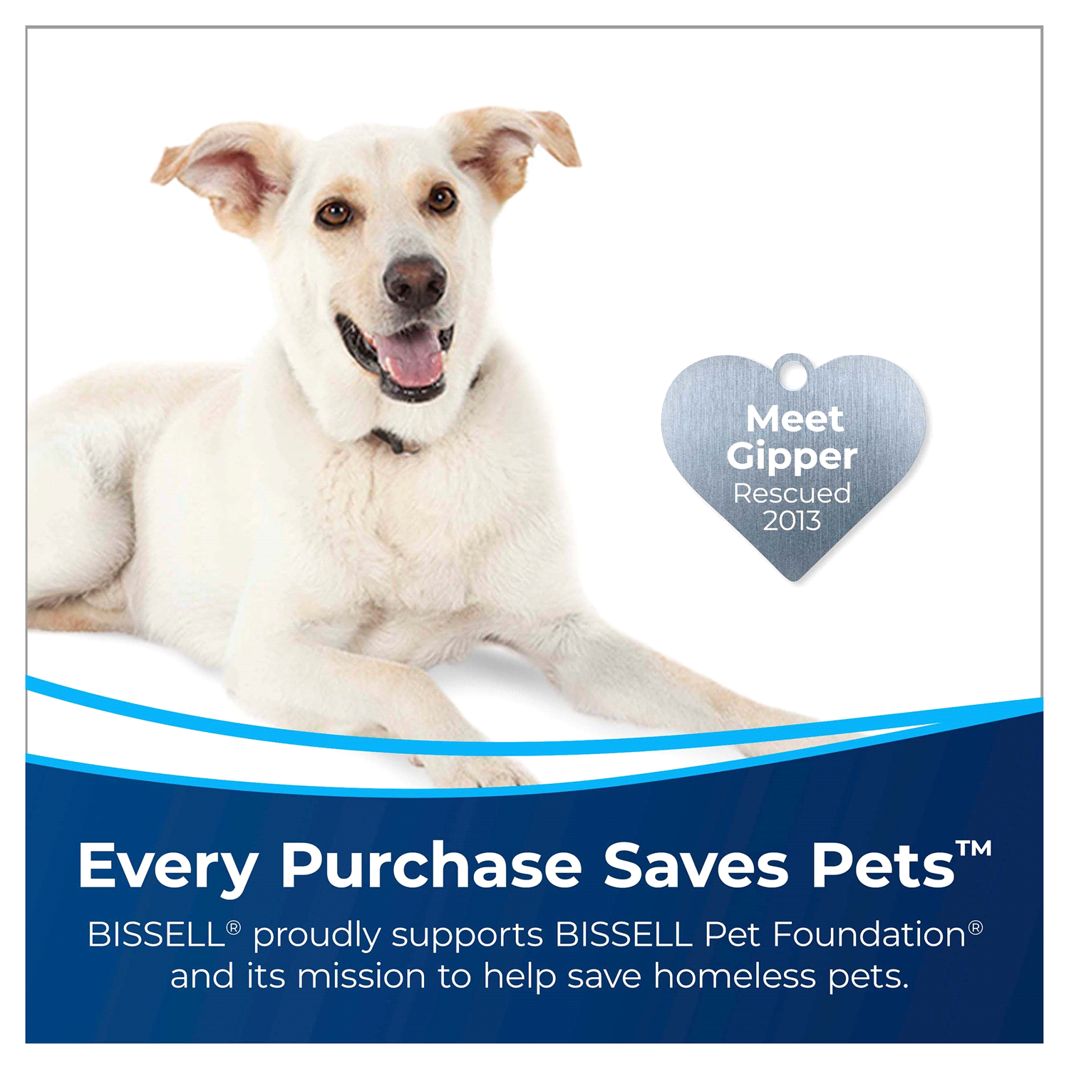 slide 5 of 5, Bissell Pet With Oxy Clean + Fresh Febreze Carpet Cleaner, 60 fl oz