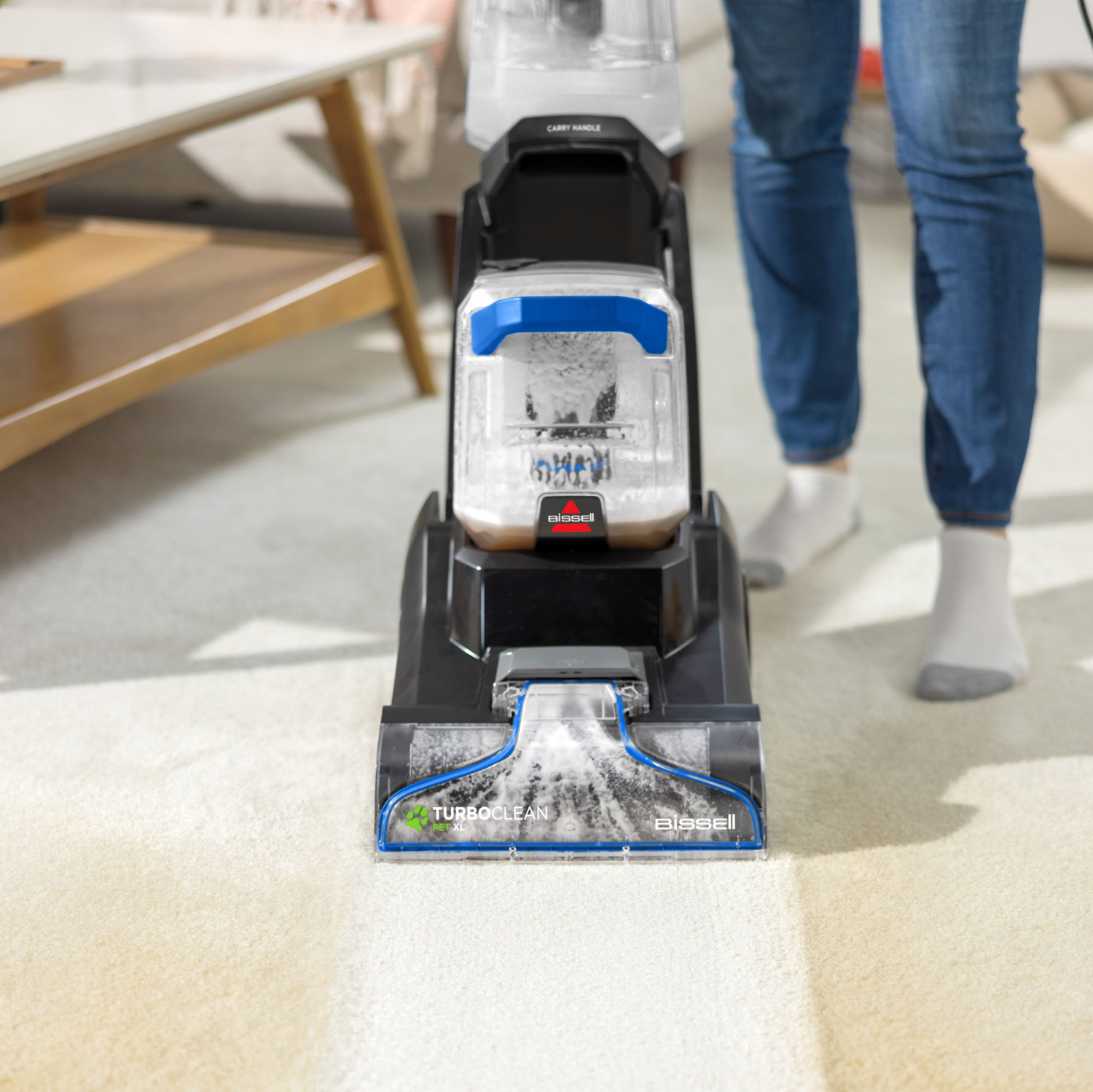 slide 3 of 3, BISSELL TurboClean Pet XL, 1 ct