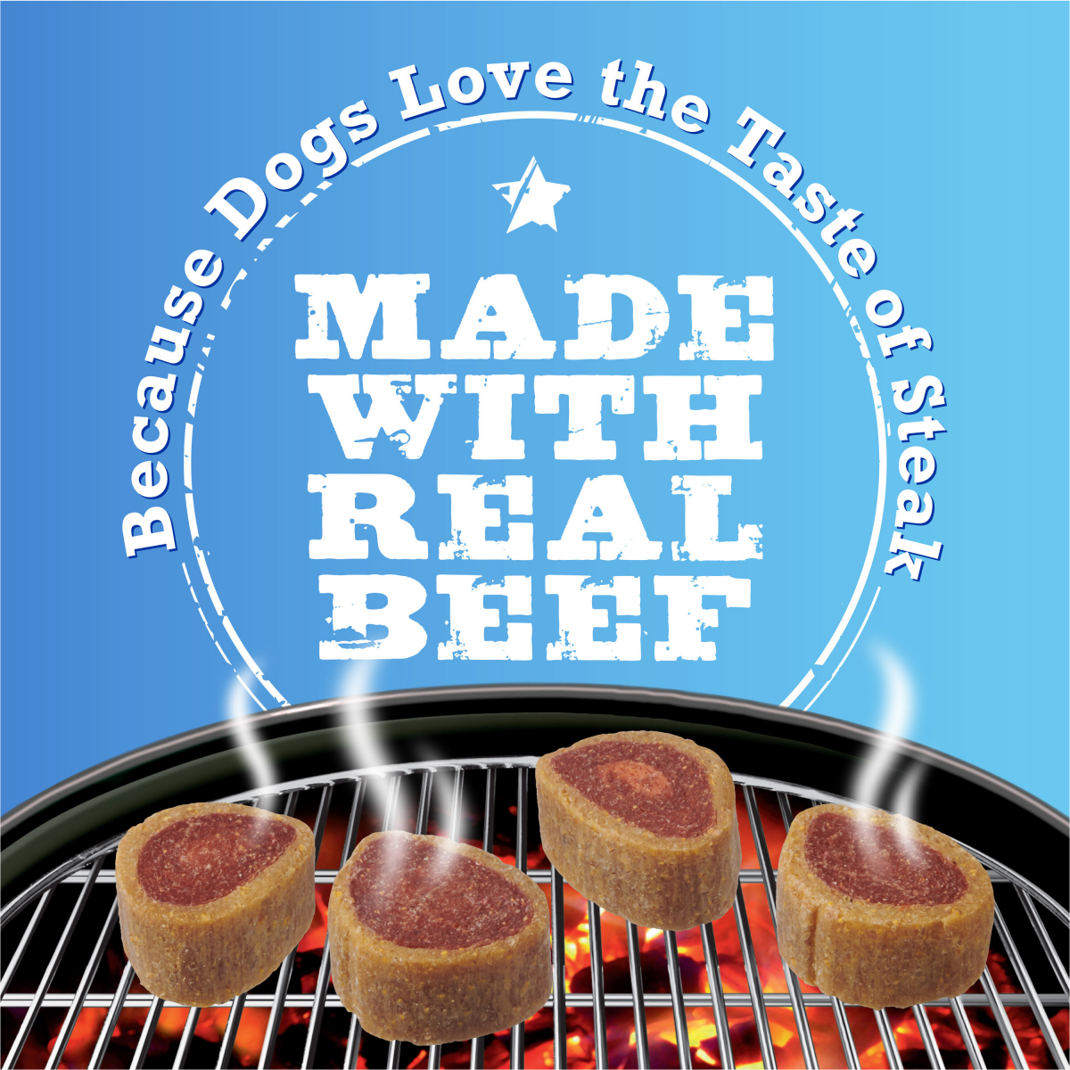 slide 4 of 6, T Bonz Steak-Shaped Filet Mignon Flavor Dog Treats 12 oz, 12 oz