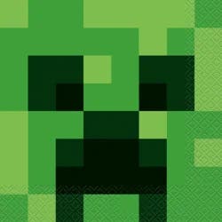 Unique 2 Ply Minecraft Napkins 16 ea