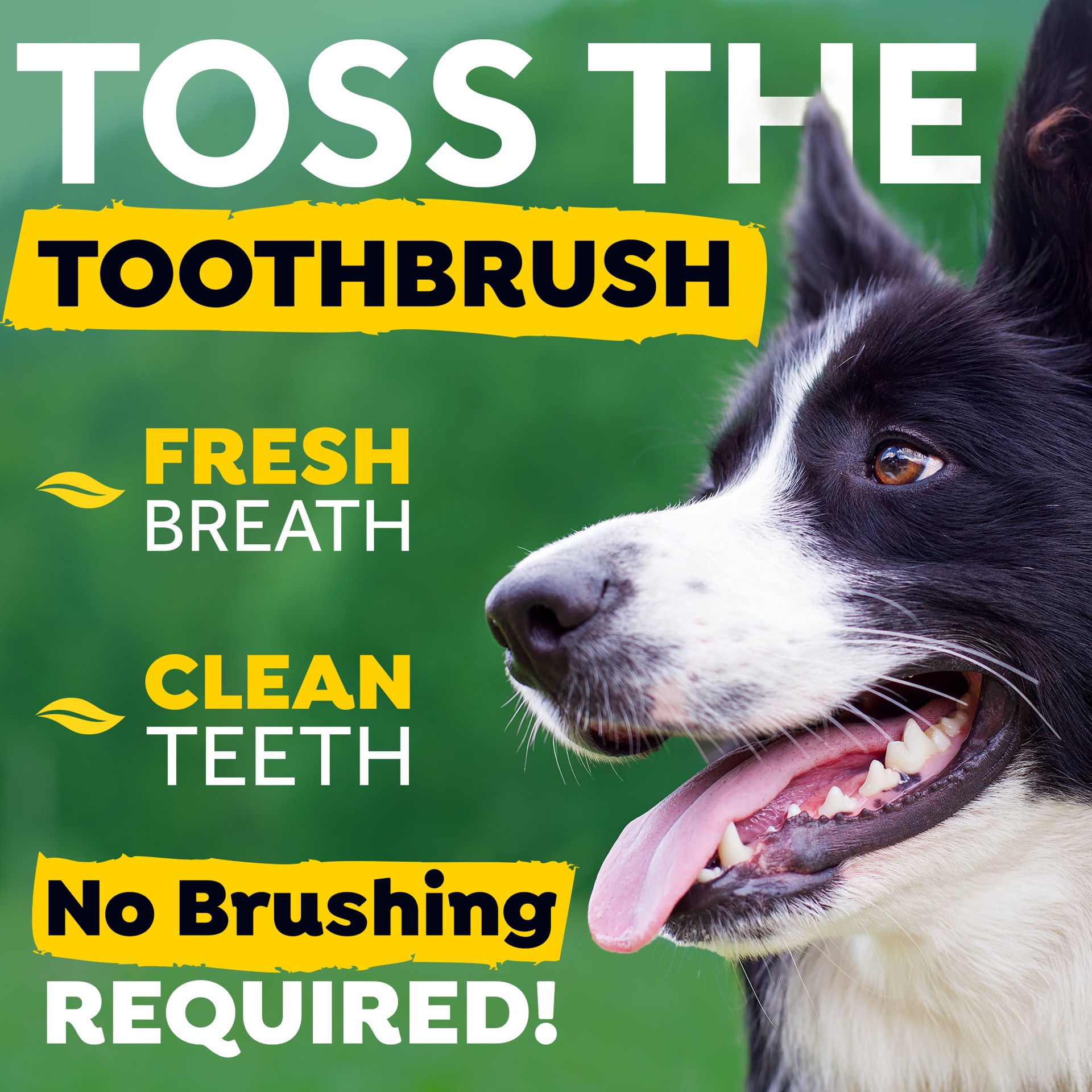 slide 2 of 10, TropiClean Fresh Breath Dental Health Solution for Dogs, 33.8oz, 33.8 oz