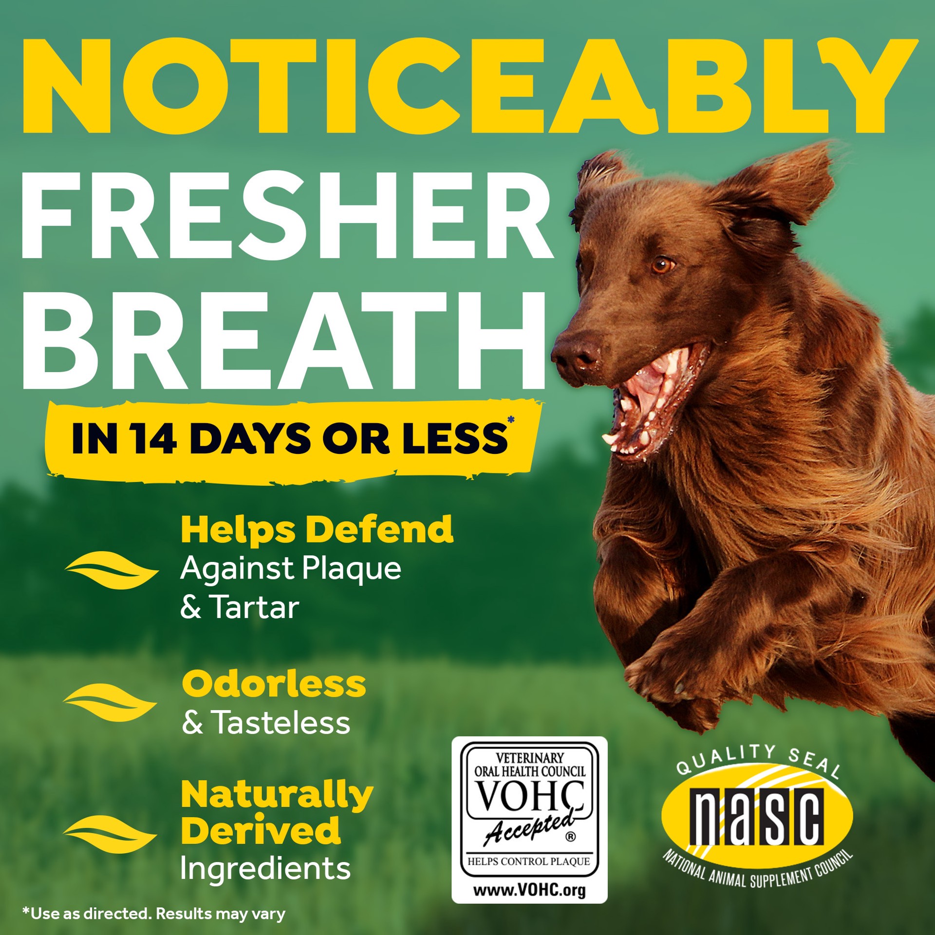 slide 8 of 10, TropiClean Fresh Breath Dental Health Solution for Dogs, 33.8oz, 33.8 oz