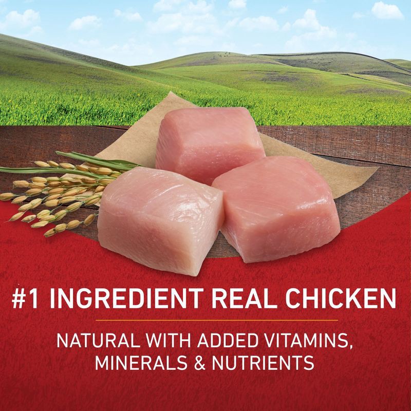 slide 2 of 9, Purina ONE SmartBlend Natural Dry Dog Food with Chicken & Rice - 16.5lbs, 16.5 lb