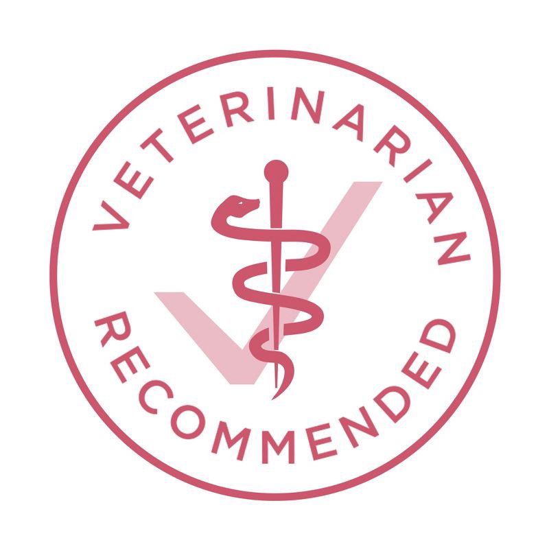 slide 7 of 10, Purina ONE Plus Seafood, Fish and Salmon Flavor Skin and Coat Dry Dog Food - 16.5lb, 16.5 lb