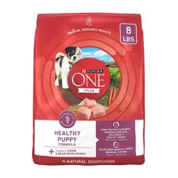 Purina ONE SmartBlend Healthy Puppy Natural Chicken Flavor Dry Dog Food - 8lbs