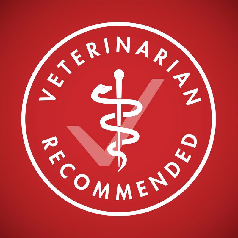 slide 5 of 8, Purina ONE SmartBlend Natural Dry Dog Food with Rice and Lamb - 8lbs, 8 lb