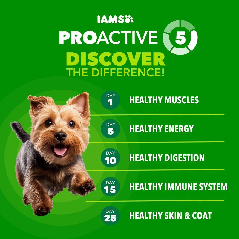 slide 3 of 11, IAMS Proactive Health Chicken and Whole Grains Flavor Small Breed Dry Dog Food - 7lbs, 7 lb