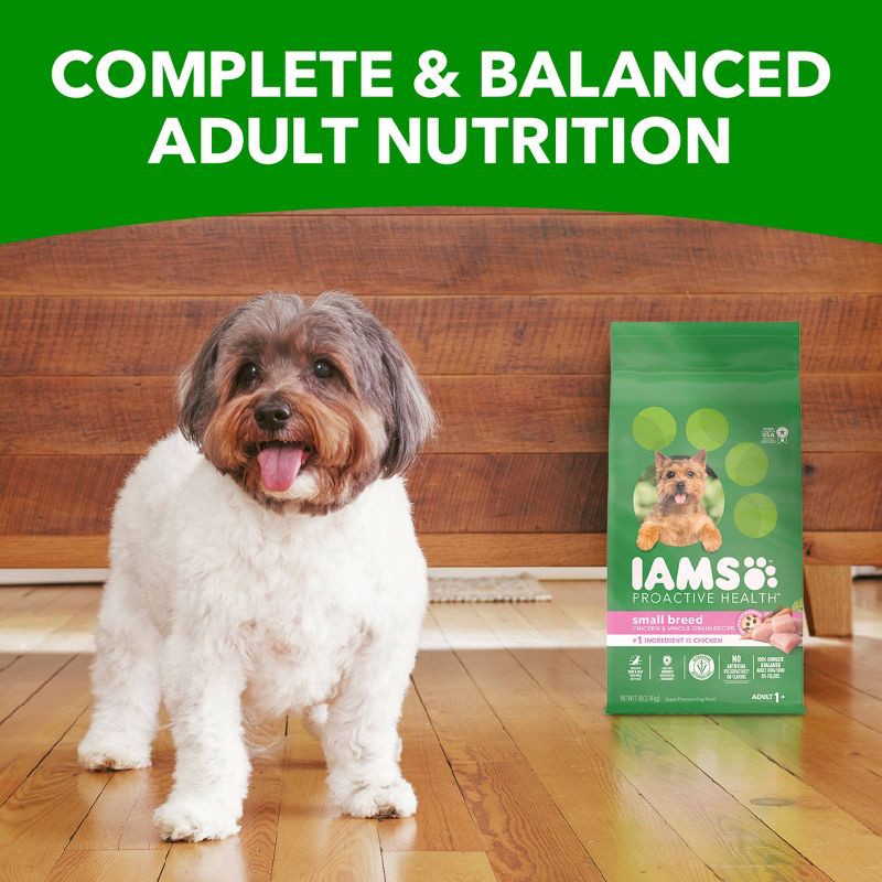 slide 7 of 10, IAMS Proactive Health Chicken & Whole Grains Recipe Small Breed Adult Premium Dry Dog Food - 7lbs, 7 lb