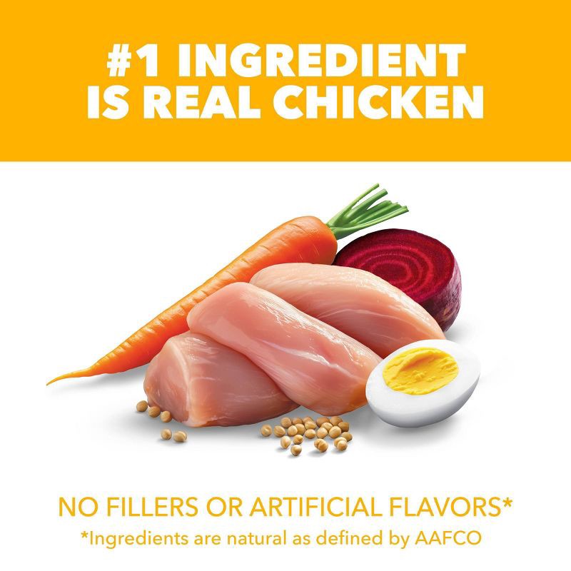 slide 4 of 11, IAMS Proactive Health Chicken and Whole Grains Flavor Puppy Dry Dog Food - 7lbs, 7 lb