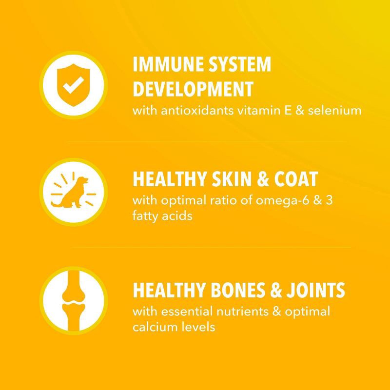 slide 6 of 11, IAMS Proactive Health Chicken and Whole Grains Flavor Puppy Dry Dog Food - 7lbs, 7 lb