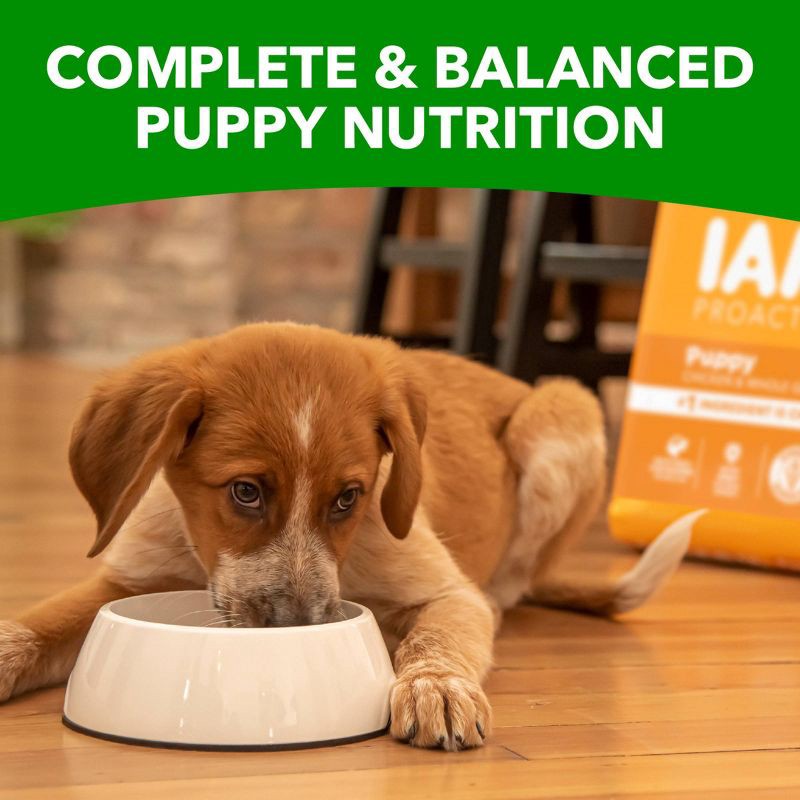 slide 7 of 11, IAMS Proactive Health Chicken & Whole Grains Recipe Puppy Premium Dry Dog Food - 7lbs, 7 lb