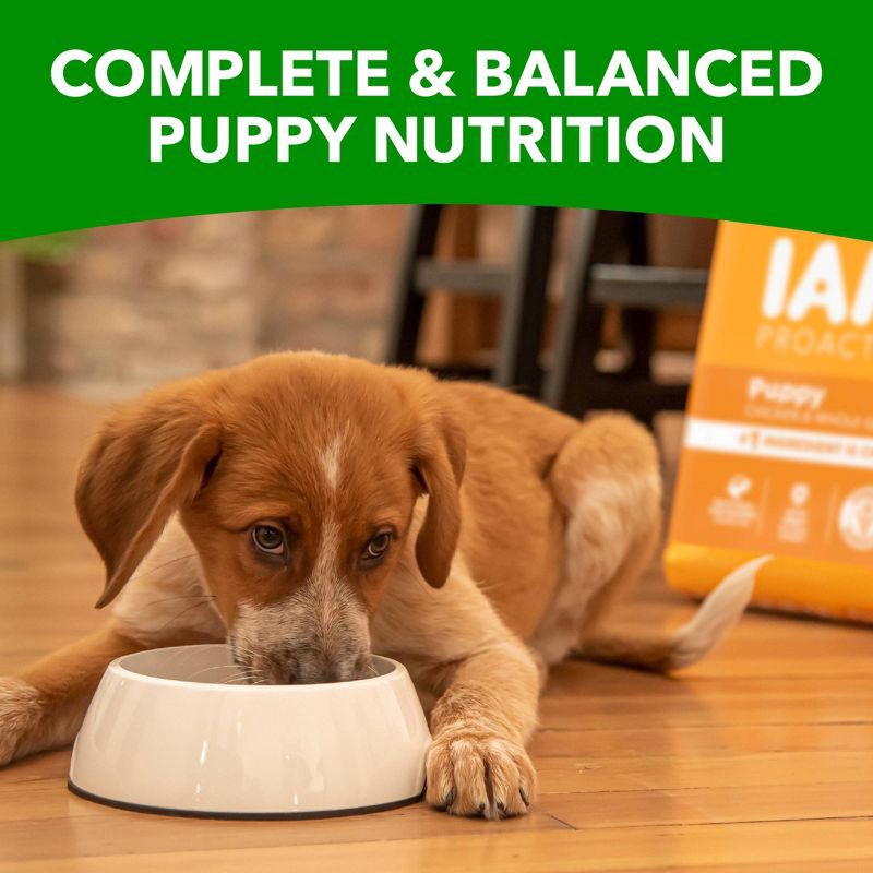 slide 7 of 10, IAMS Proactive Health Chicken & Whole Grains Recipe Puppy Premium Dry Dog Food - 7lbs, 7 lb