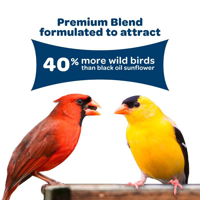 slide 10 of 11, Kaytee Birder's Paradise Blend Bird Food - 8lbs, 8 lb