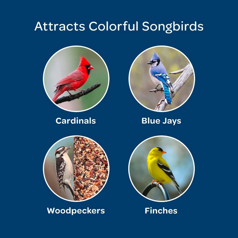 slide 7 of 11, Kaytee Birder's Paradise Blend Bird Food - 8lbs, 8 lb