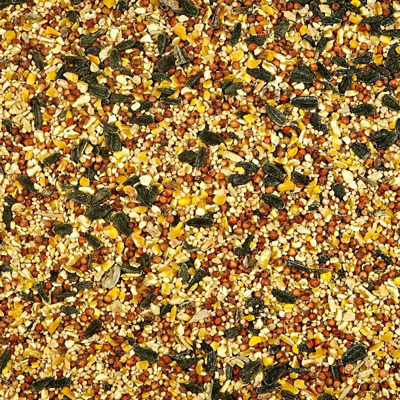 slide 3 of 4, Kaytee Wild Bird Food - 20lbs, 20 lb