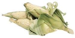 White Corn, 5 ct