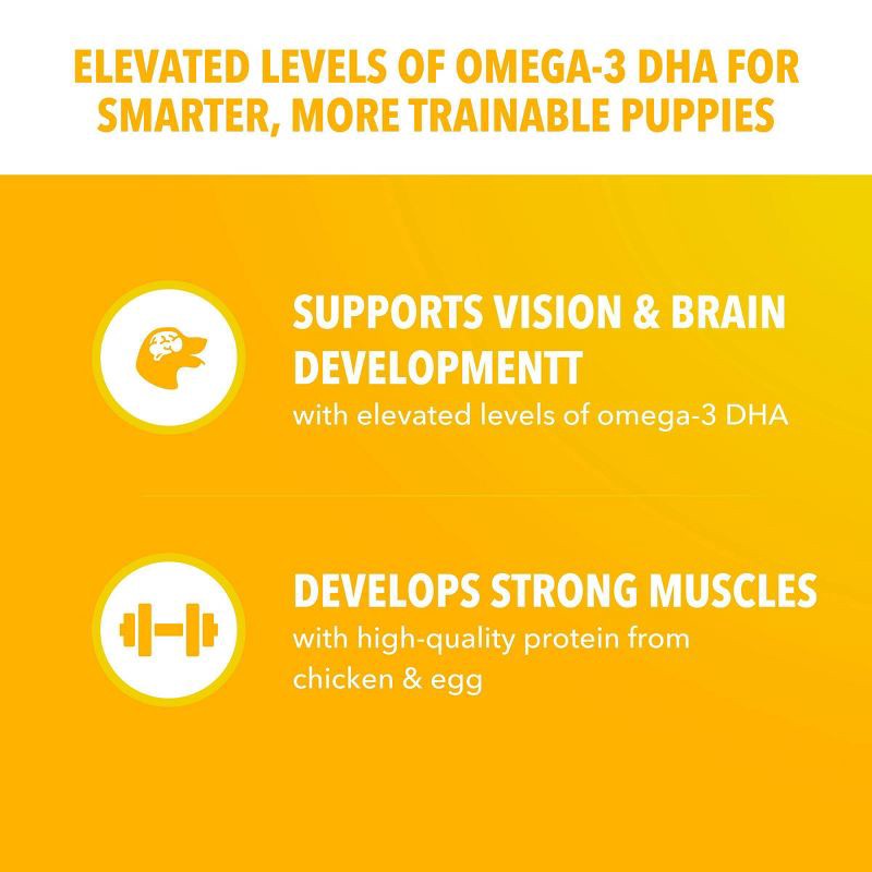 slide 5 of 11, IAMS Proactive Health Chicken and Grain Flavor Large Breed Puppy Dry Dog Food - 30.6lbs, 30.6 lb