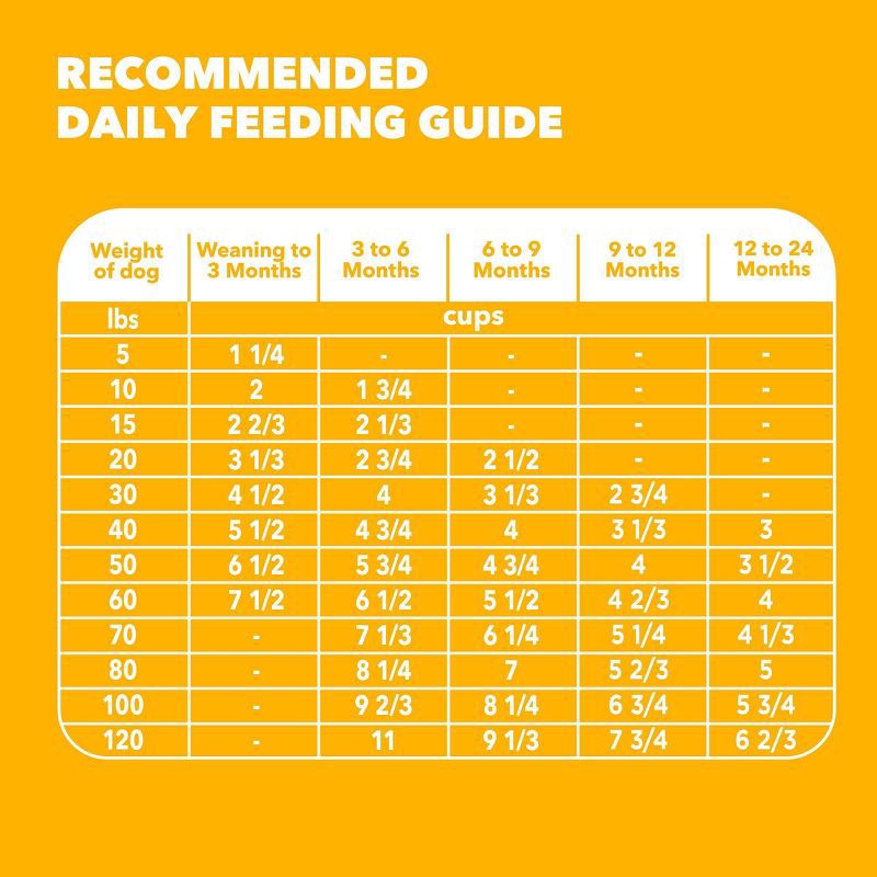 slide 10 of 11, IAMS Proactive Health Chicken and Grain Flavor Large Breed Puppy Dry Dog Food - 30.6lbs, 30.6 lb