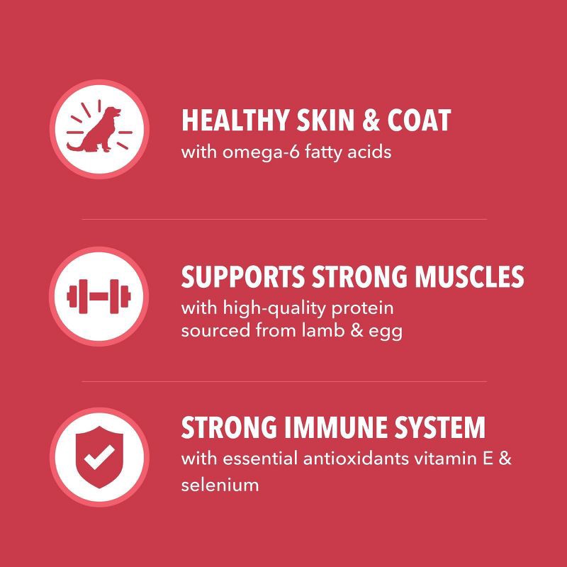 slide 6 of 11, IAMS Proactive Health Minichunks Lamb and Rice Flavor Dry Dog Food - 30lbs, 30 lb