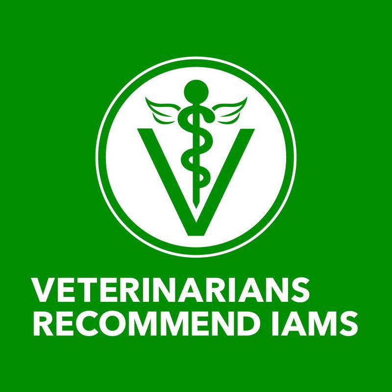 slide 9 of 10, IAMS Proactive Health Lamb & Rice Recipe Adult Premium Dry Dog Food - 30lbs, 30 lb