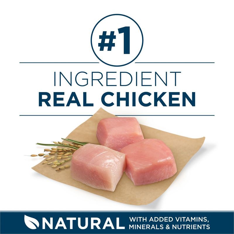 slide 2 of 10, Purina ONE SmartBlend Large Breed Chicken Flavor Natural Dry Dog Food - 31.1lbs, 31.1 lb