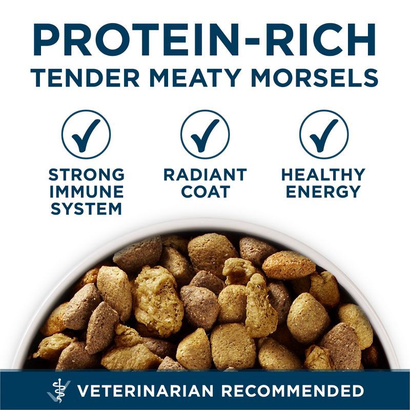 slide 6 of 10, Purina ONE SmartBlend Large Breed Chicken Flavor Natural Dry Dog Food - 31.1lbs, 31.1 lb