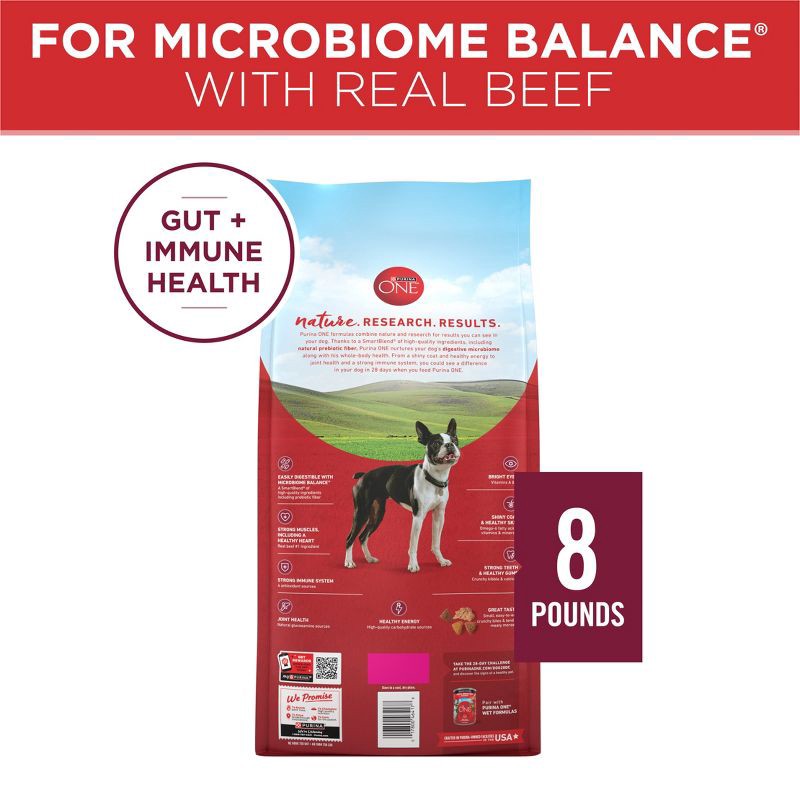 slide 8 of 10, Purina ONE SmartBlend Small Bites Beef & Rice Formula Adult Dry Dog Food - 8lbs, 8 lb