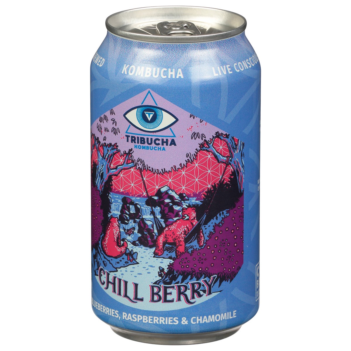 slide 9 of 9, Tribucha Chill Berry Kombucha - 12 oz, 12 oz