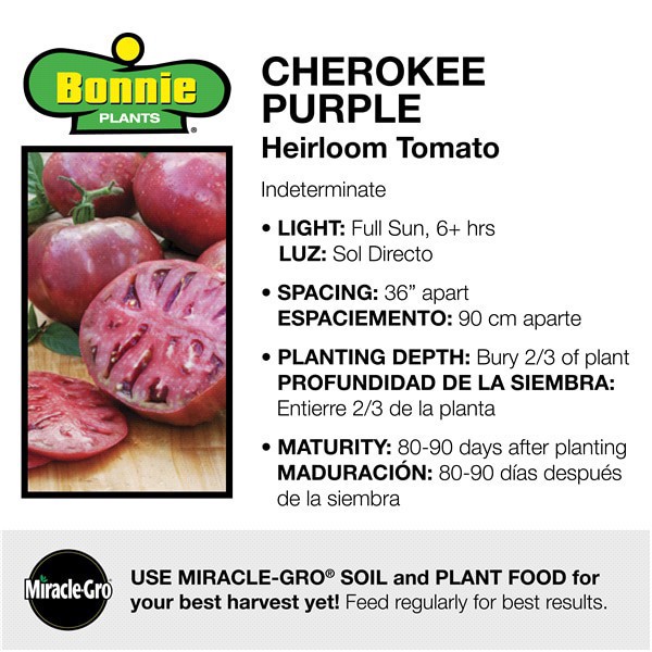 slide 8 of 9, Bonnie Plants  Tomato Cherokee Purple, 19.3 oz