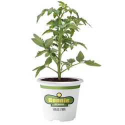 Bonnie Plants Cherokee Purple Heirloom Tomato