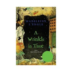 Macmillan A Wrinkle In Time - by Madeleine L'Engle (Paperback)