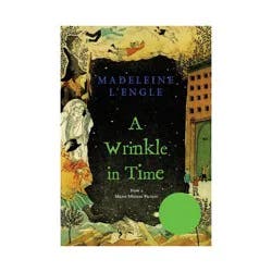 Macmillan A Wrinkle In Time - by Madeleine L'Engle (Paperback)