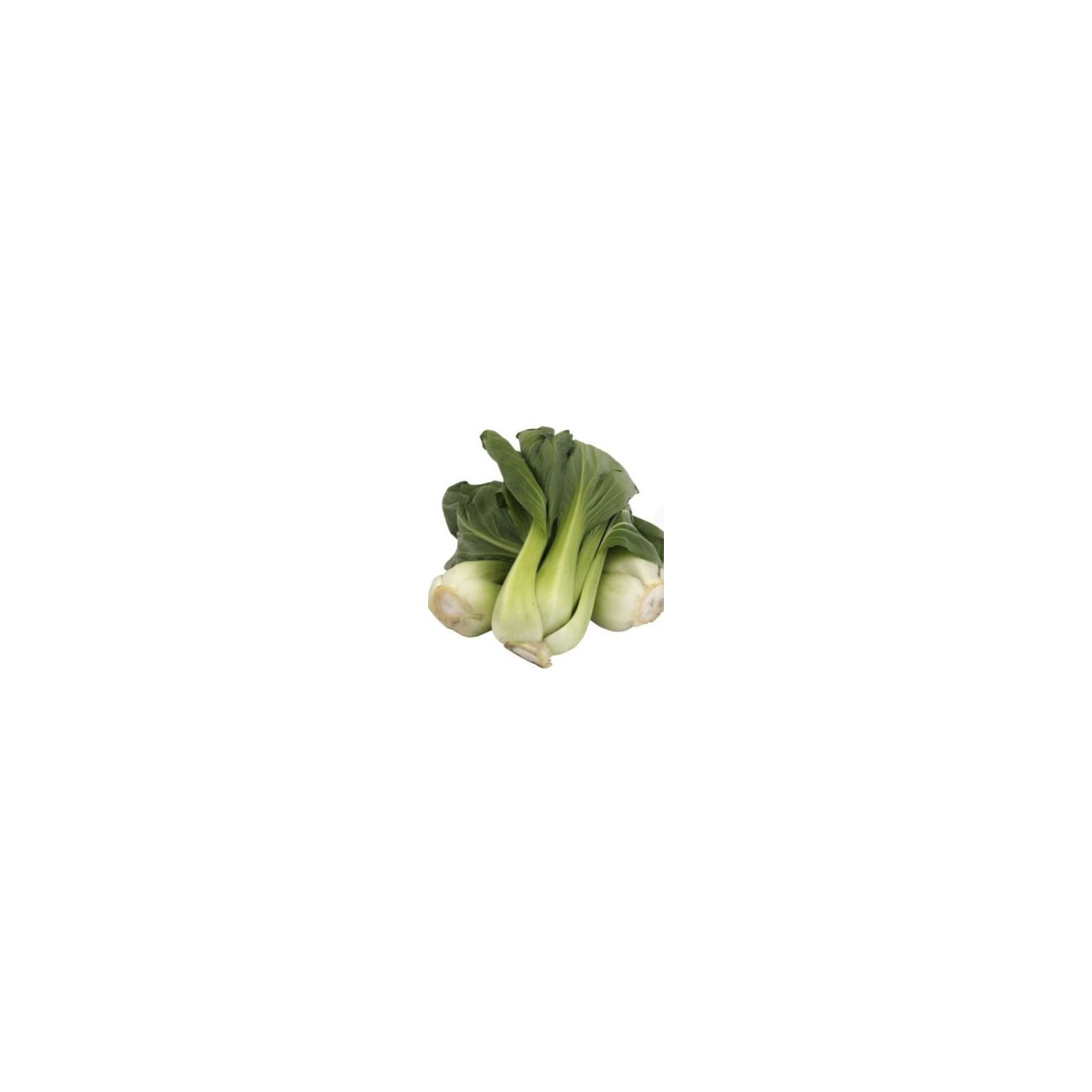 slide 1 of 1, Produce Bok Choy 1 ea, 1 ct