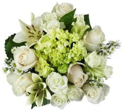 Bloom Haus Classic Rose Bouquet - White