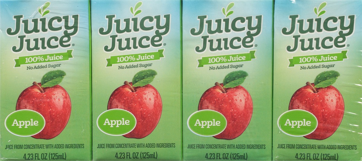 slide 9 of 9, Juicy Juice No Added Sugar Apple 100% Juice - 4 ct, 4 ct