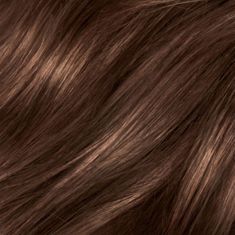 slide 2 of 10, L'Oreal Paris Superior Preference Fade-Defying Color + Shine System - 6.5 fl oz - 5CB M Chestnut Brown - 1 kit, 6.5 fl oz