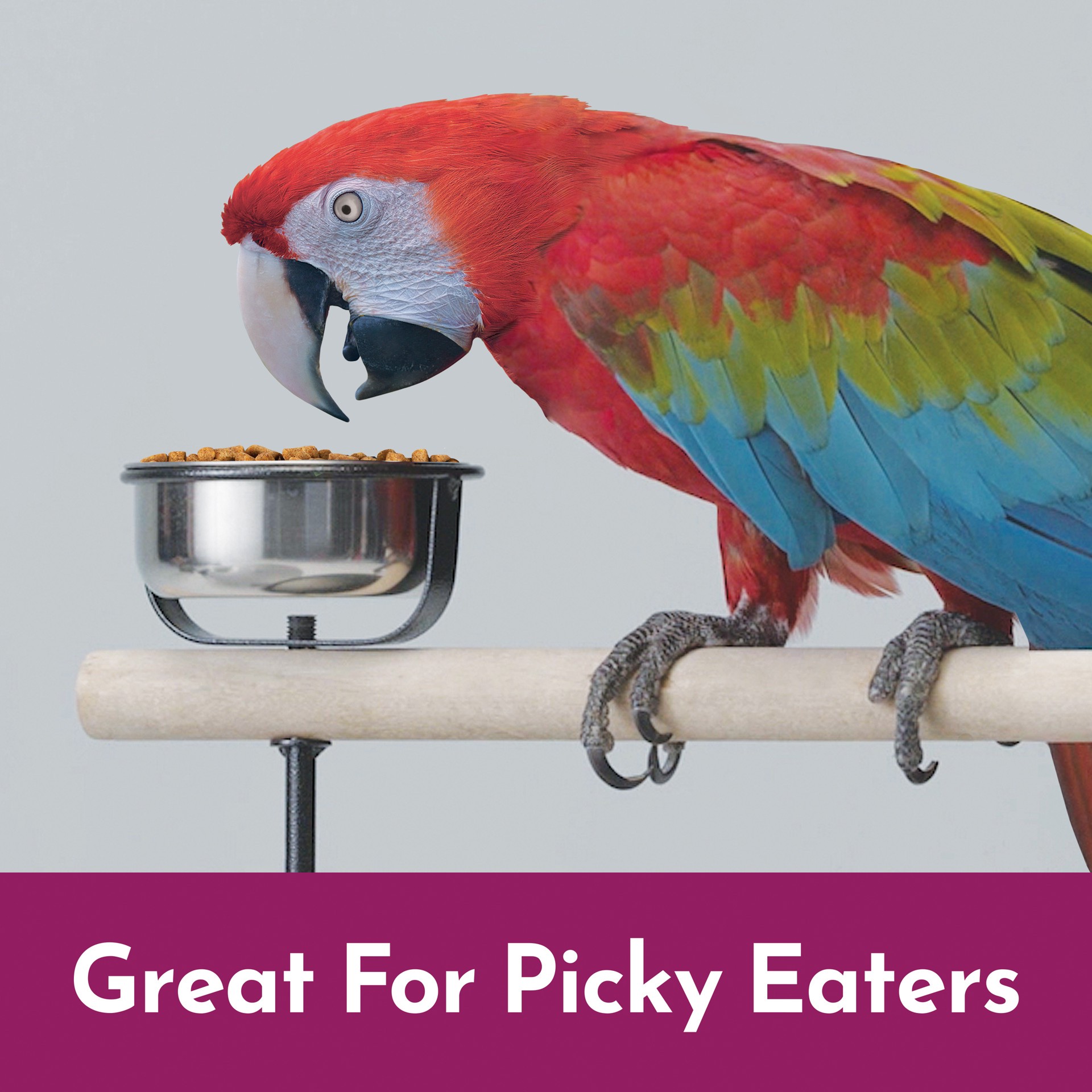 slide 9 of 10, Kaytee Nutrisoft Macaw & Cockatoo Pet Bird Food 3 lb., 1 ct