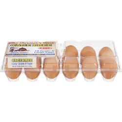 The Farmer's Hen Free Range Grade A Large Eggs - 18 ct