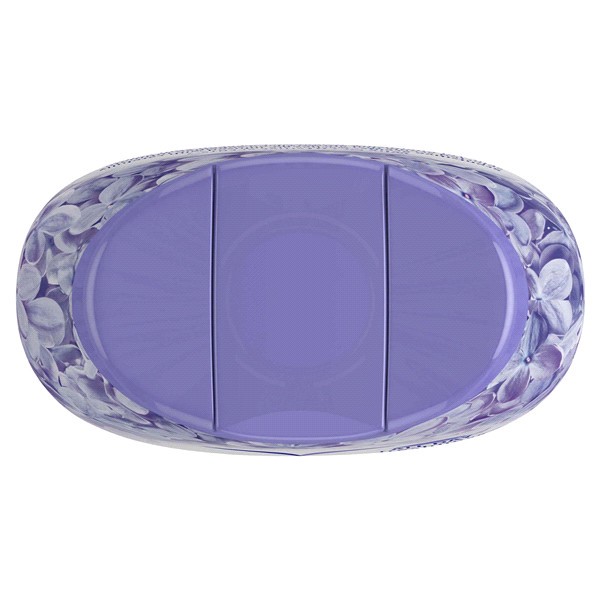 slide 8 of 21, Vagisil Scentsitive Scents Daily Intimate Vaginal Wash Spring Lilac Scent, 12 fl oz