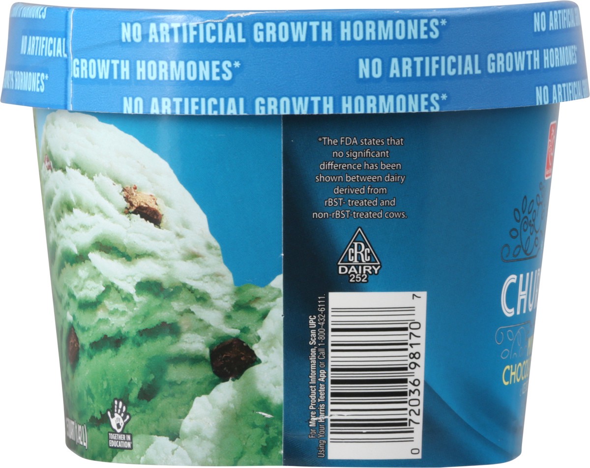 slide 6 of 10, Harris Teeter Ice Cream - Mint Chocolate Chip, 48 oz