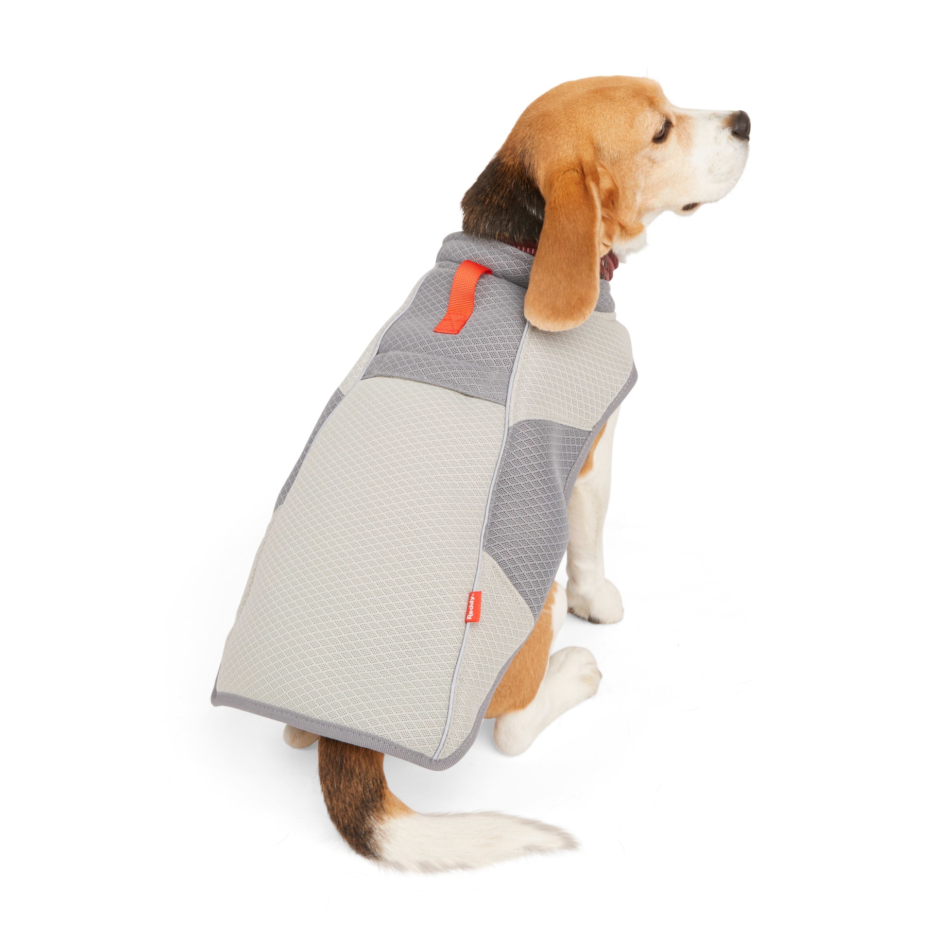 slide 1 of 1, Reddy Grey/Red Cooling Dog Vest, SM